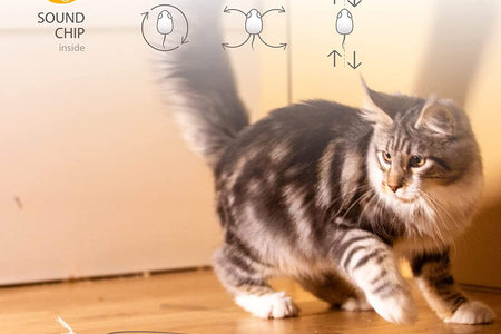 Cat Toys for Indoor Cats, Interactive Cat Toys for Cat Exercise, Automatic Moving Kitten Toys with Real Mouse Sound