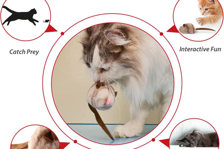 Interactive Cat Toy Squeaky, Electronic Chirpy Bird Cat Toy Feather Tail, Automatic Cat Play Squeak Toy for Boredom